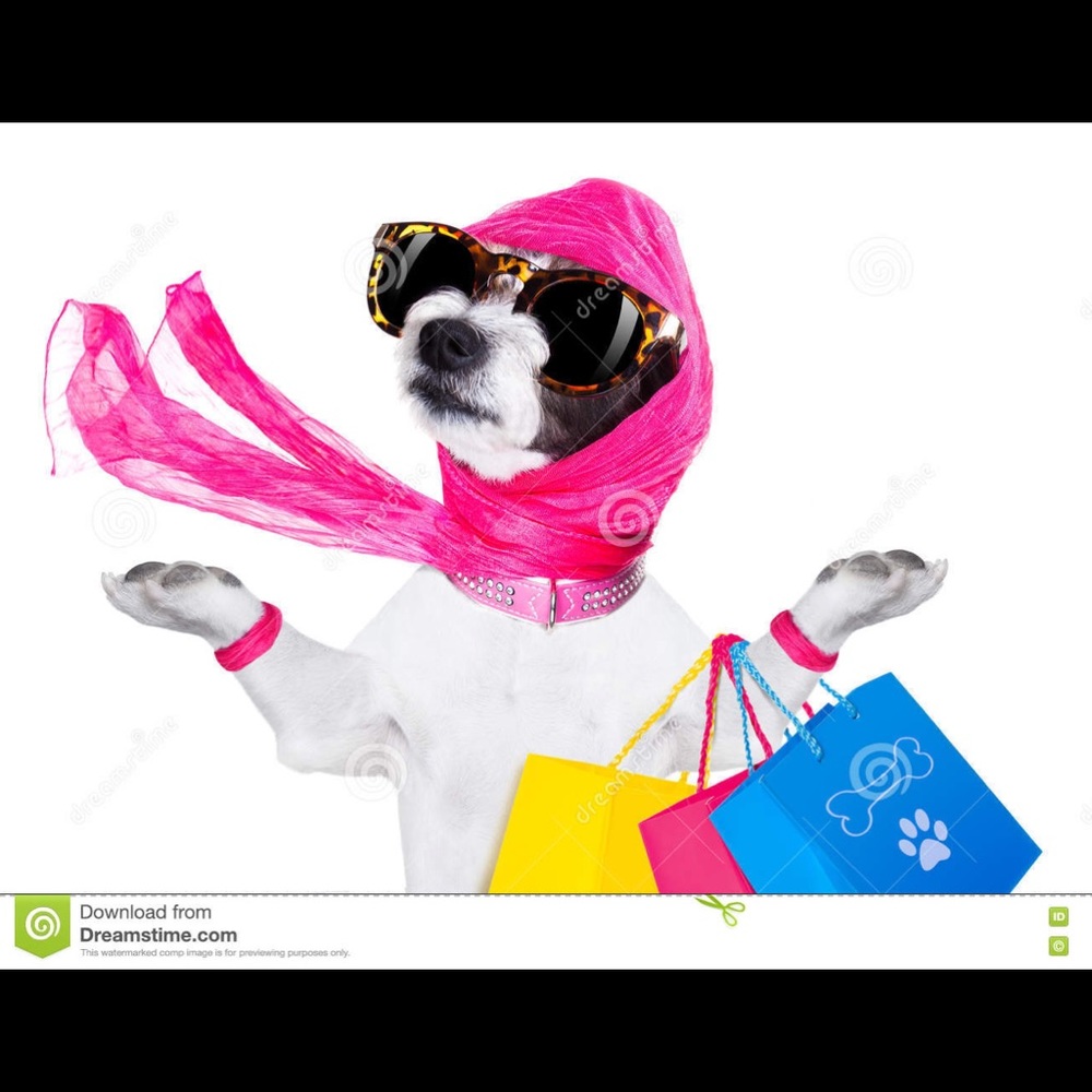 Fun stuff your dog would even love!!!